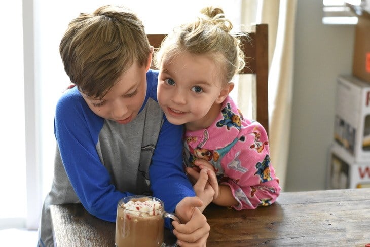 Dairy Free Hot Chocolate Mix