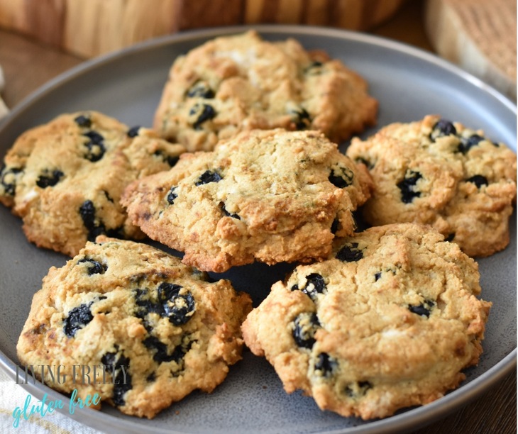 Easy Blueberry Breakfast Cookies (Paleo, Vegan)