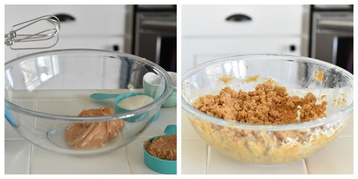 Gluten and Dairy Free Peanut Butter Cookies Gluten and Dairy Free Peanut Butter Cookies Process Shots