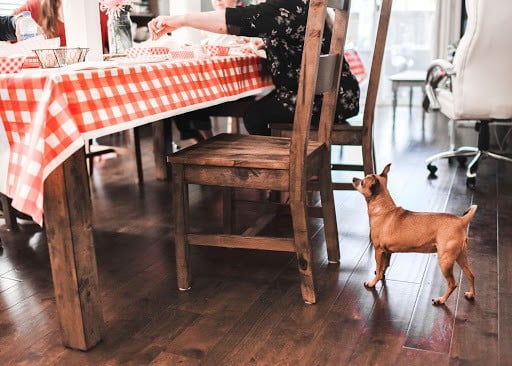 The god coming to the table