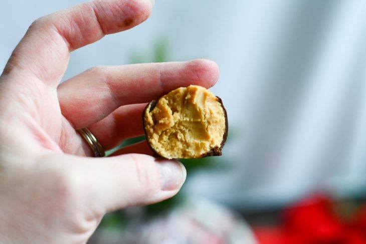 holding a buckeye ball 