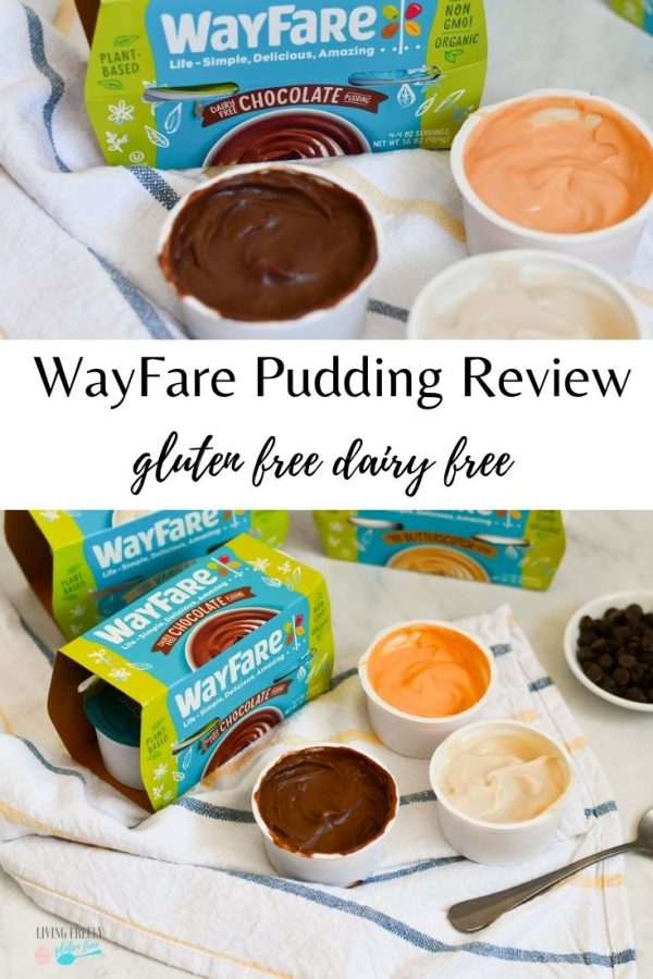 Wayfare Pudding Review (Dairy Free) - Living Freely Gluten Free
