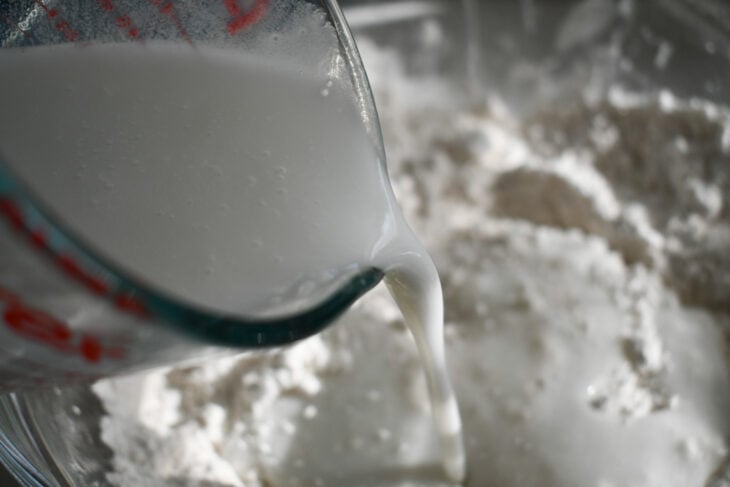 gluten free vegan biscuits Add the coconut milk and cider vinegar and blend with a spoon.