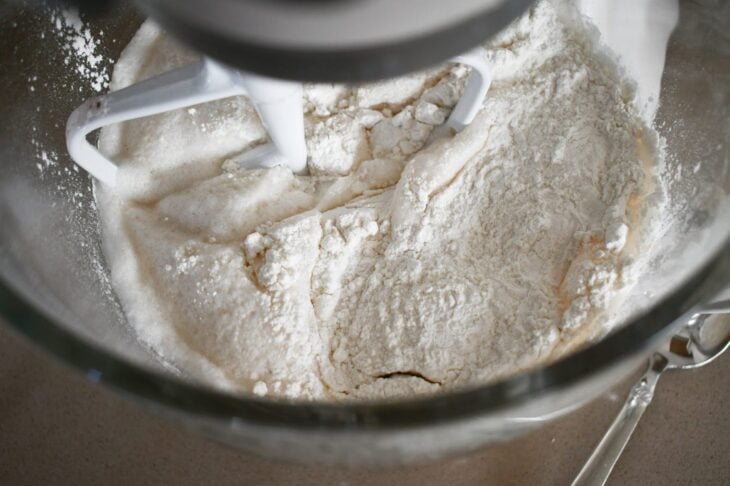 ingredients in mixer