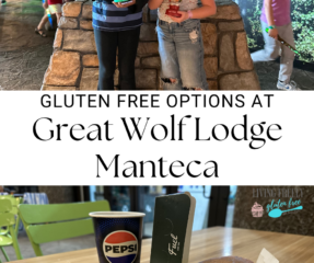 pin forGluten Free at Great Wolf Lodge: What We Ate + Tips for Families